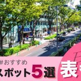 表参道の一人飲みで出会いたいなら!おすすめスポット5選を紹介します