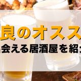 奈良で出会える居酒屋を紹介！おすすめの出会い方やマッチングアプリも紹介します。