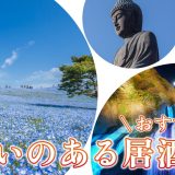 茨城で出会いのある居酒屋を紹介！おすすめの出会い方やマッチングアプリも紹介します