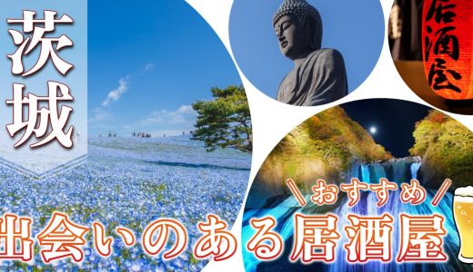 茨城で出会いのある居酒屋を紹介！おすすめの出会い方やマッチングアプリも紹介します