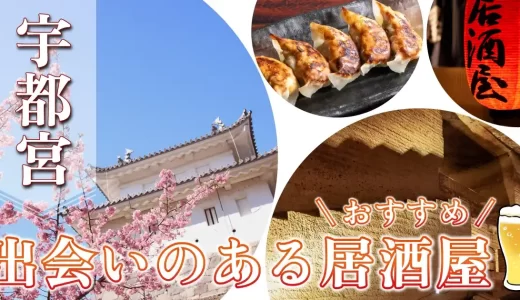 宇都宮で出会いのある居酒屋を紹介！おすすめのマッチングアプリも紹介します