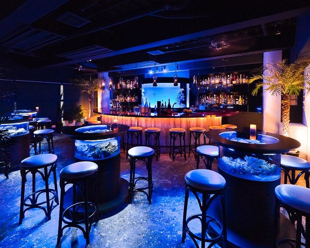 bar shark(シャーク)